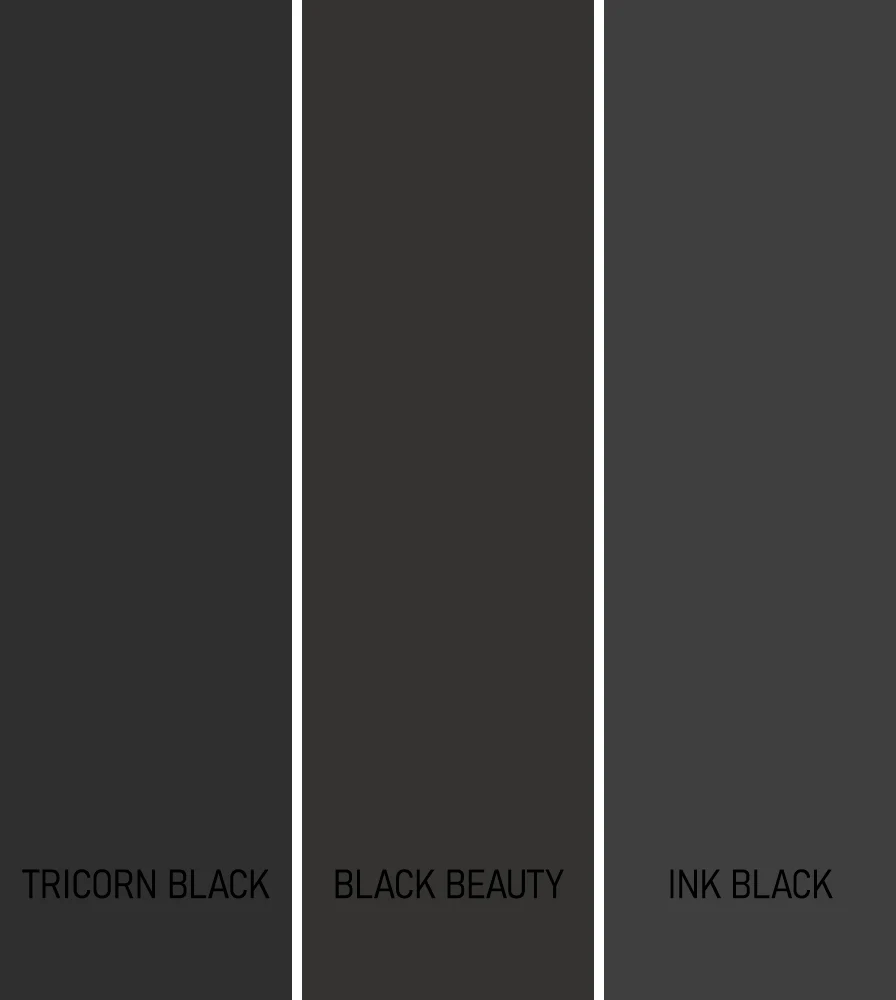 Dramatic Black Shades