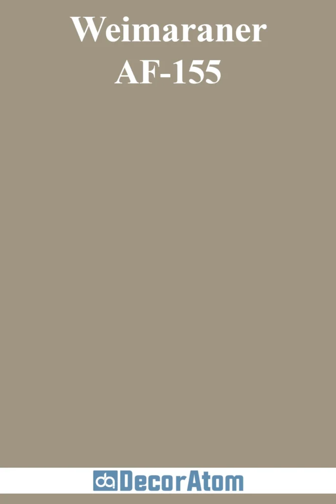 Weimaraner