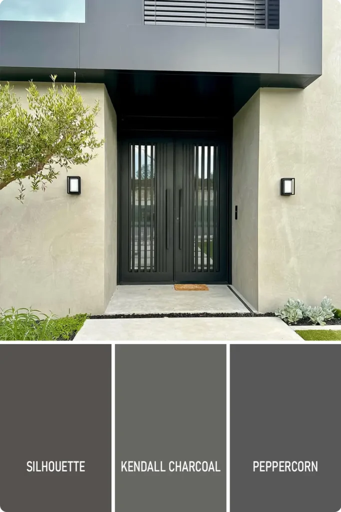Dark Gray Front Door