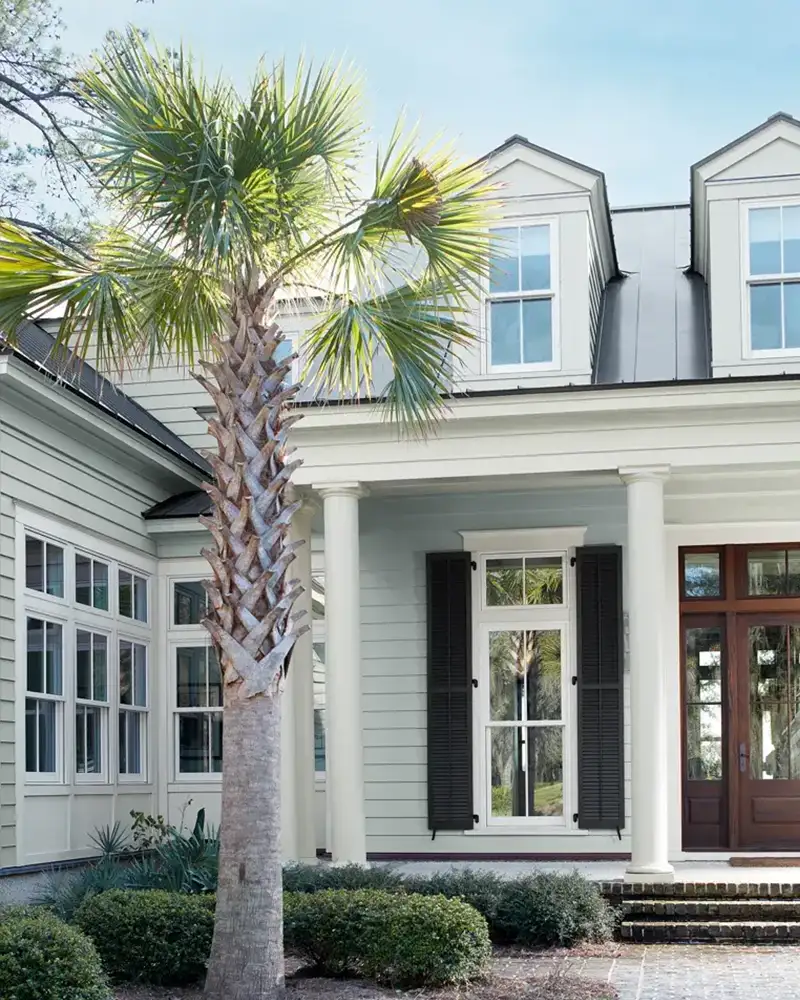Gray Color House