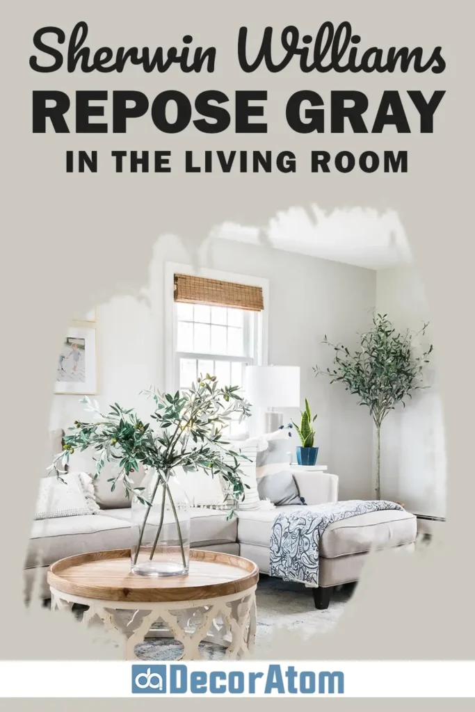 Sherwin-Williams Repose Gray in the Living Room