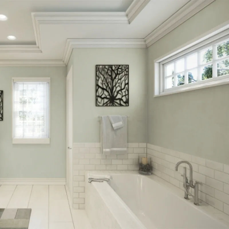 Sherwin Williams Sea Salt SW 6204 In the Bathroom