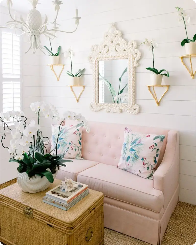 Coastal Interior
