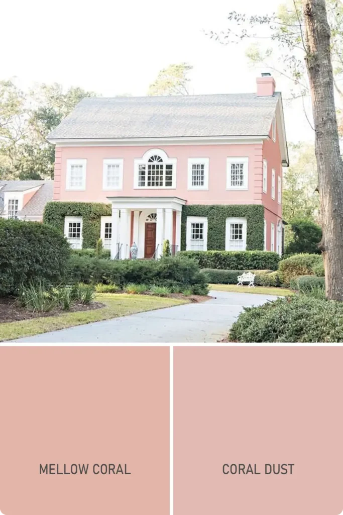 Coral Blush