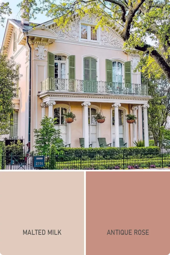 Dusty Rose