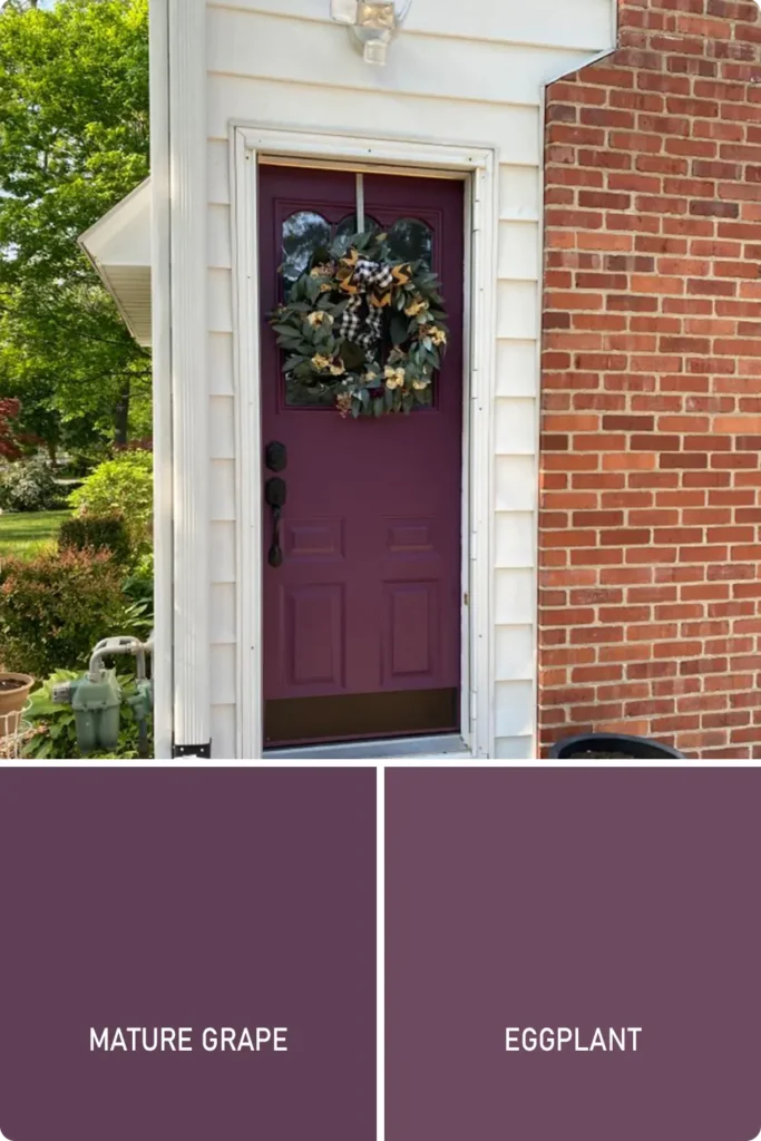 Eggplant Front Door