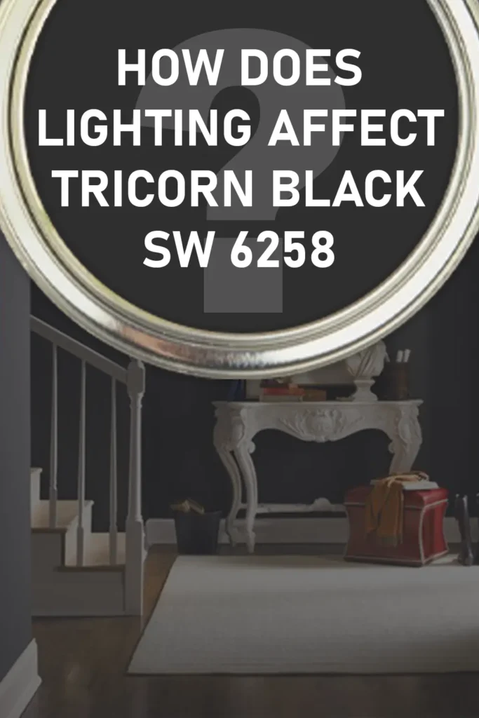 How Does Lighting Affect Sherwin Williams Tricorn Black?