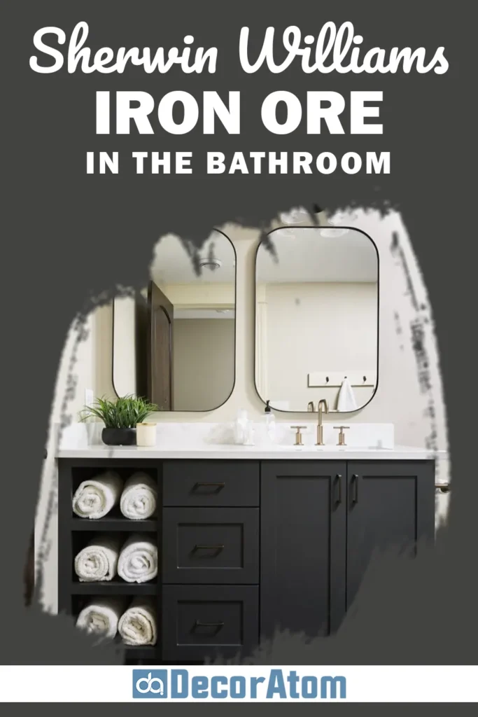 Sherwin Williams Iron Ore In the Bathroom