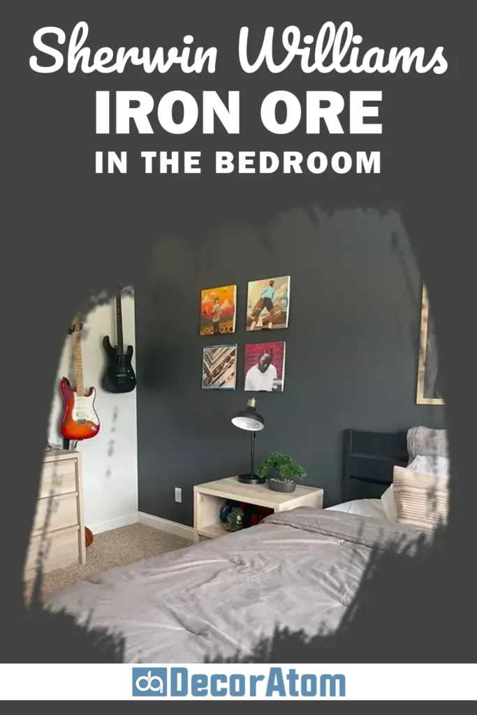Sherwin Williams Iron Ore In the Bedroom