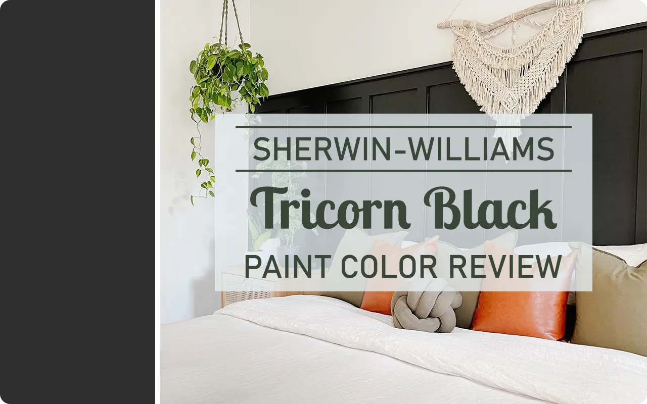 Sherwin-Williams Tricorn Black SW 6258 Paint Color Review