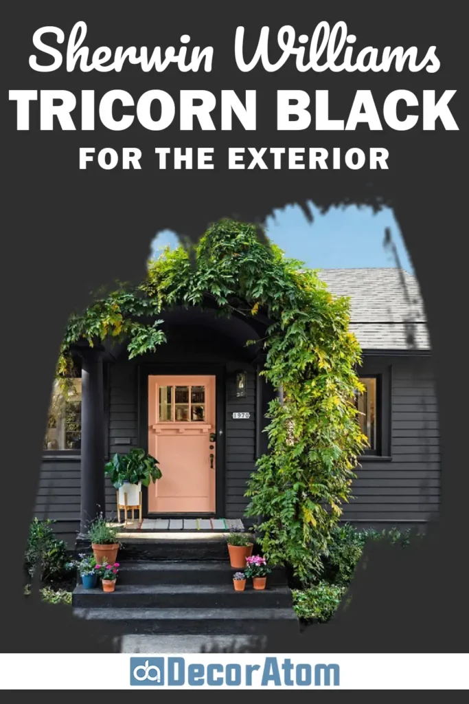 Sherwin Williams Tricorn Black for the Exterior