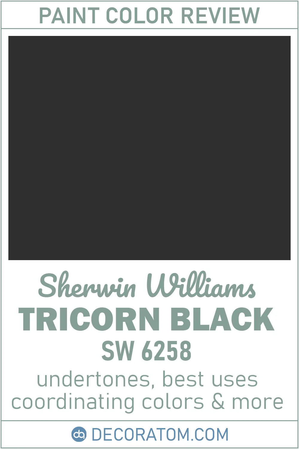 Sherwin-Williams Tricorn Black SW 6258 Paint Color Review