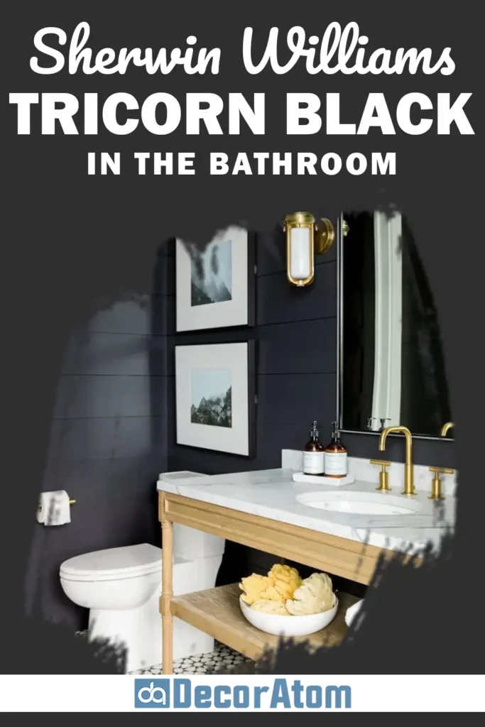 Sherwin Williams Tricorn Black in the Bathroom