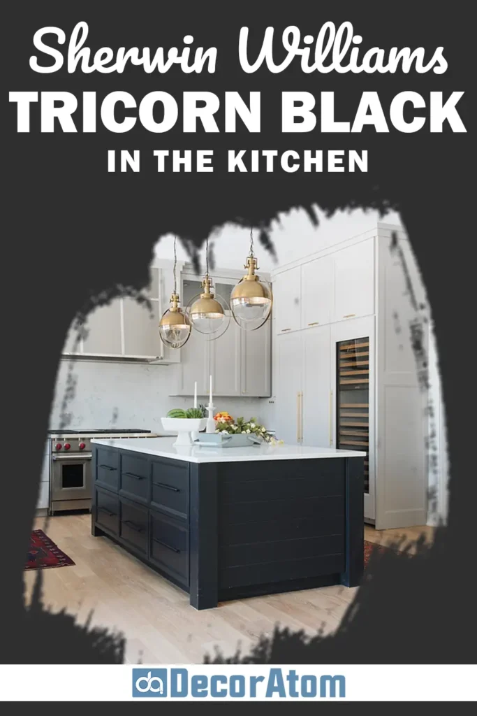 Sherwin Williams Tricorn Black in the Kitchen