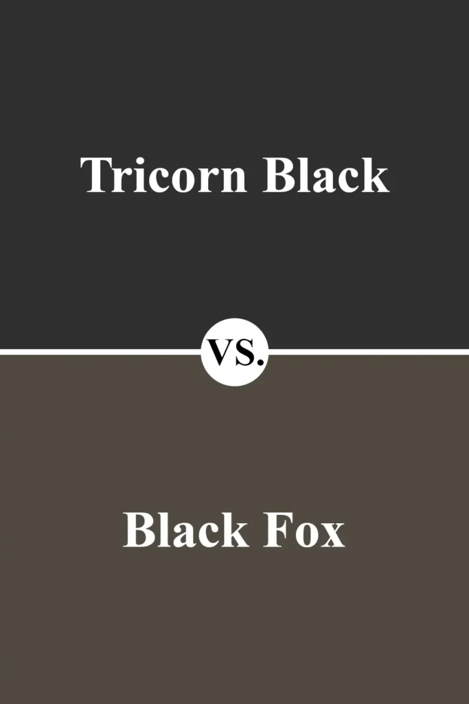 Tricorn Black VS Black Fox