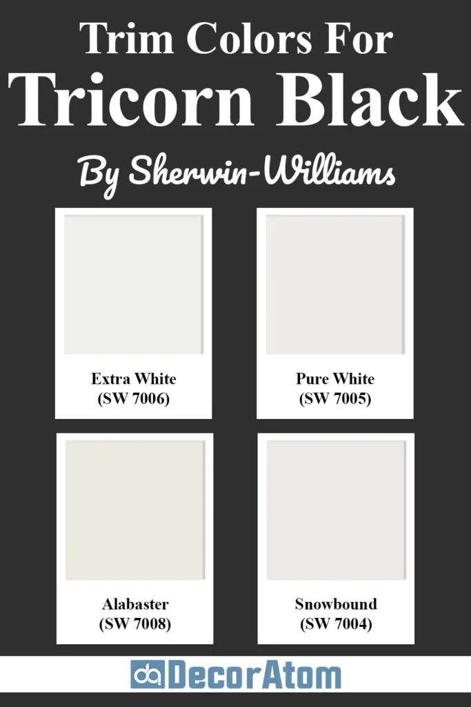 Trim Colors to Pair With Sherwin Williams Tricorn Black