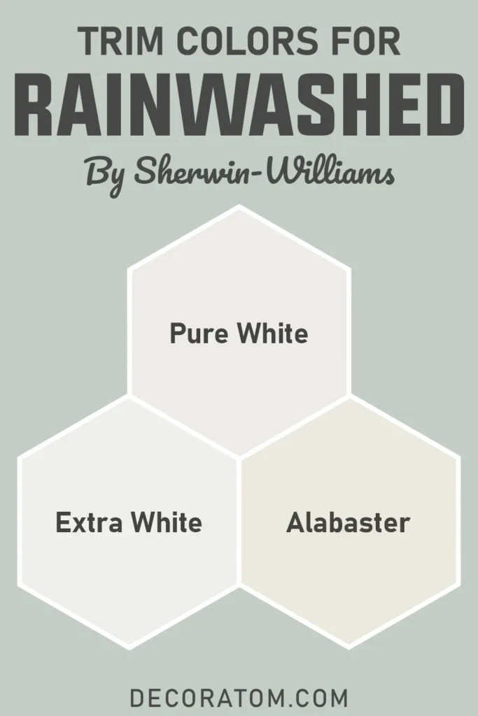 Trim Colors to Pair With Sherwin Williams Rainwashed