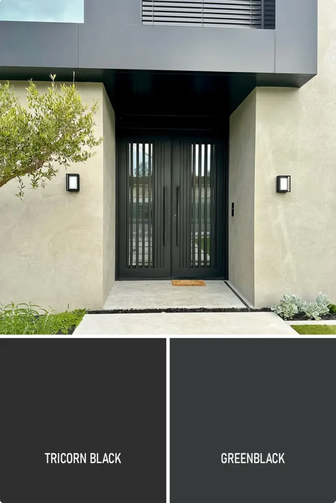 Black Front Door