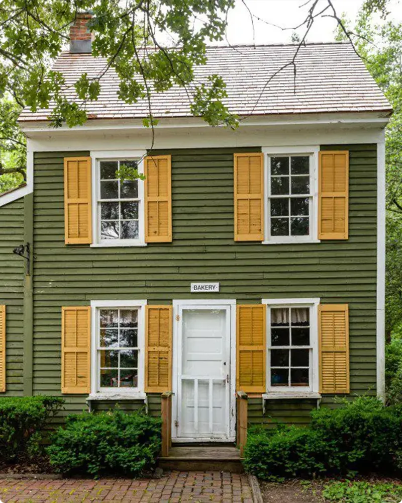 Brown Roof Olive Green Color House
