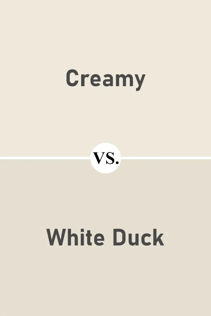 Creamy VS White Duck