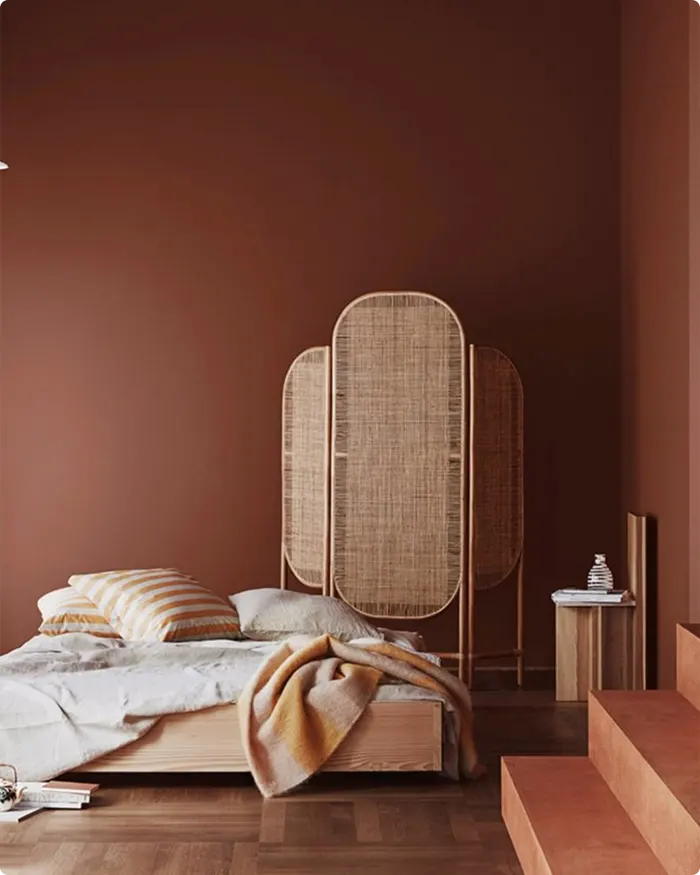 Earthy Terracotta