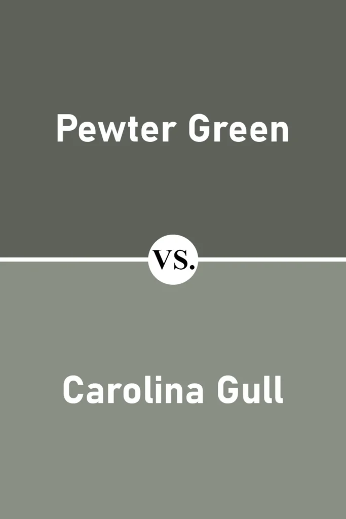 Pewter Green VS Carolina Gull