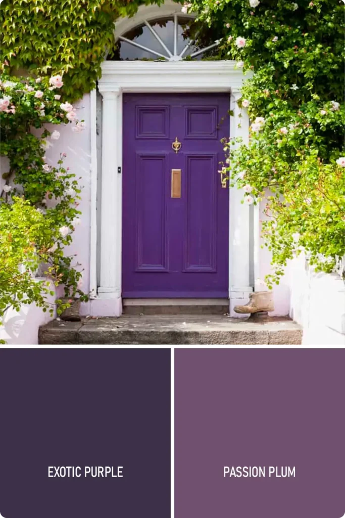 Purple Front Door