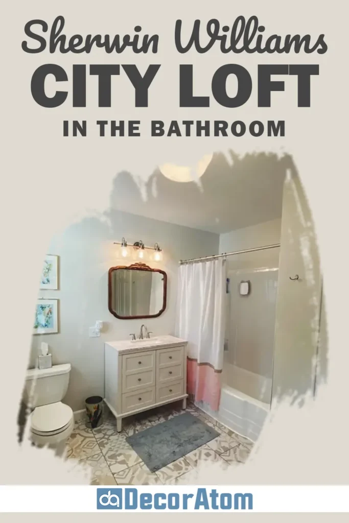 Sherwin Williams City Loft in the Bathroom