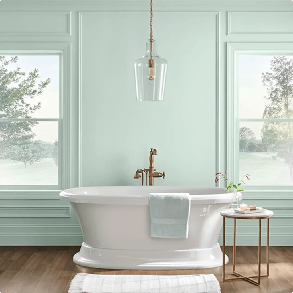 Sherwin Williams Rainwashed Example