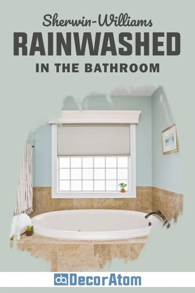 Sherwin Williams Rainwashed in the Bathroom