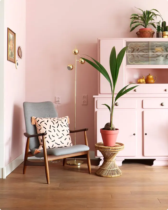 Soft Blush Pink