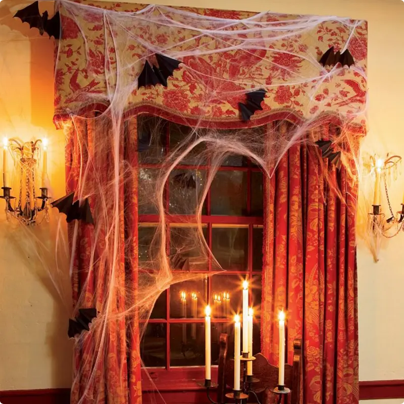 Bat and Web-Infested Window