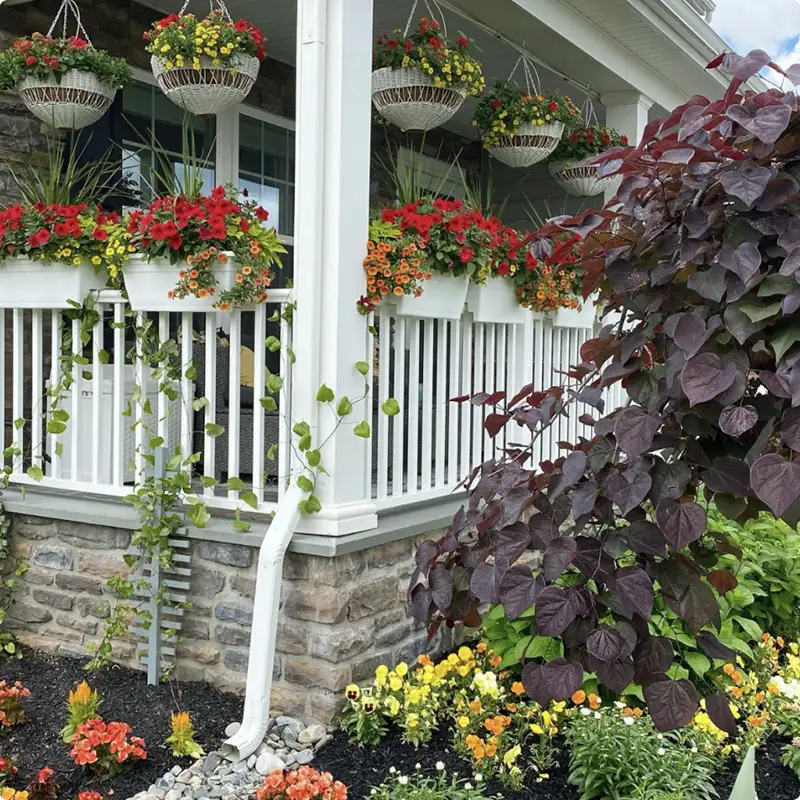 Metal Porch Railings Dressed up With Blooming Flowers