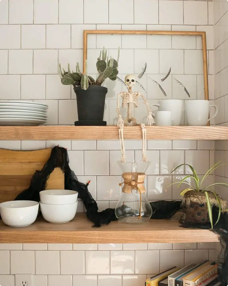 Minimal Skeleton Decor Resting on a Shelf