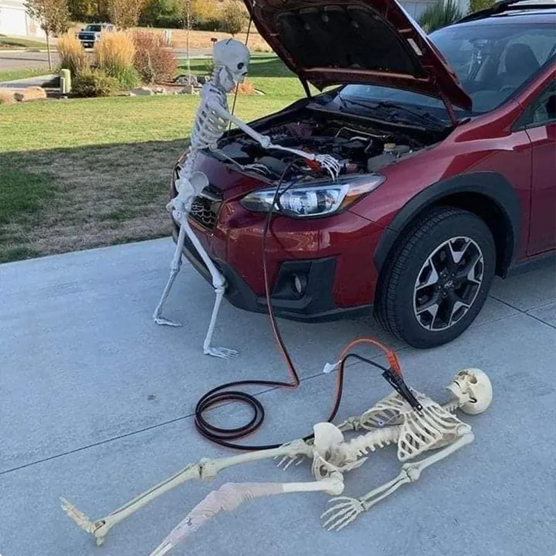 Bone Mechanics at Work