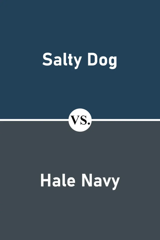 Salty Dog VS Hale Navy