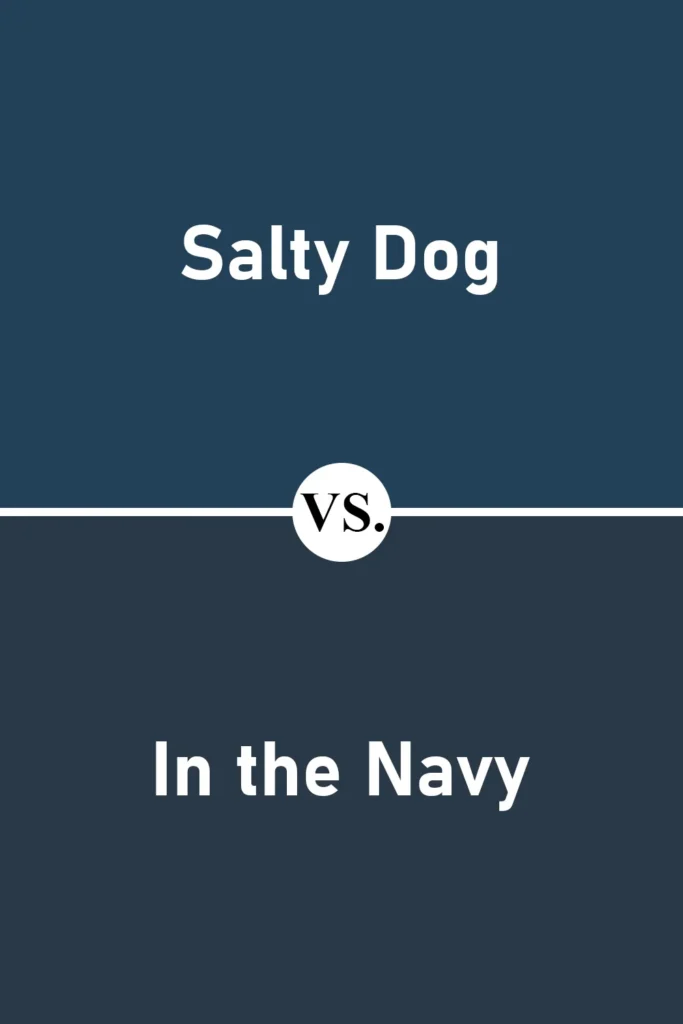 Salty Dog VS In the Navy