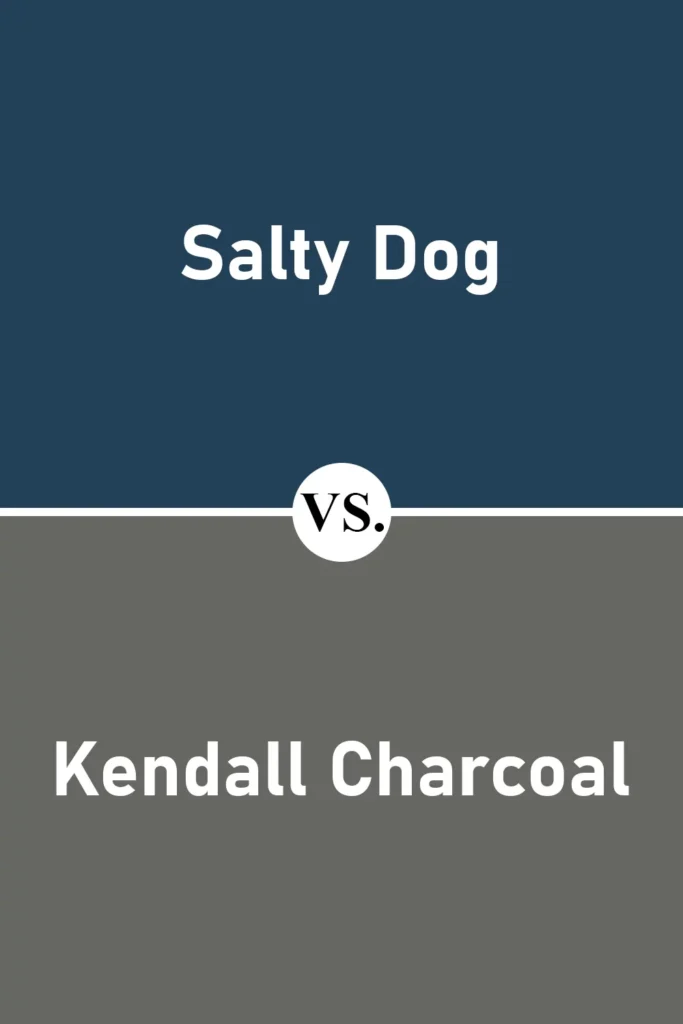Salty Dog VS Kendall Charcoal