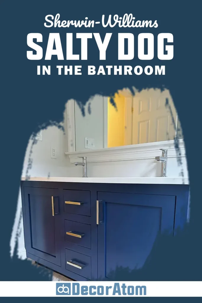 Sherwin Williams Salty Dog In the Bathroom