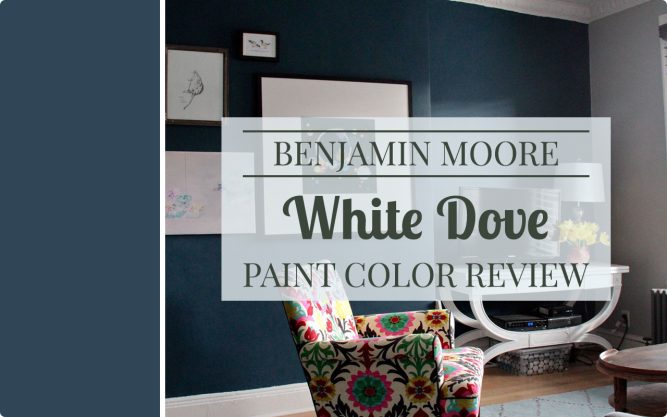 Benjamin Moore Gentleman's Gray